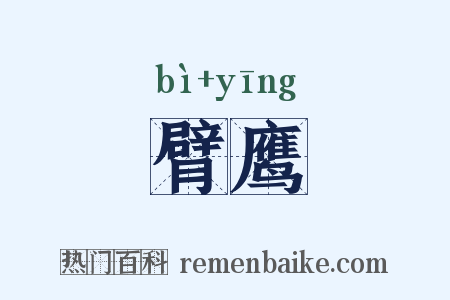 臂鹰是什么意思的图片
